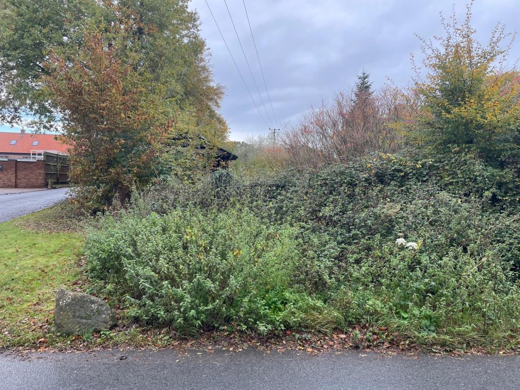 Lot: 39 - FREEHOLD SITE WITH DILAPIDATED TIMBER BUILDING - General view of site